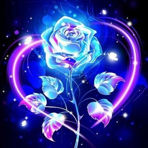 Meet your Posher, Silvana